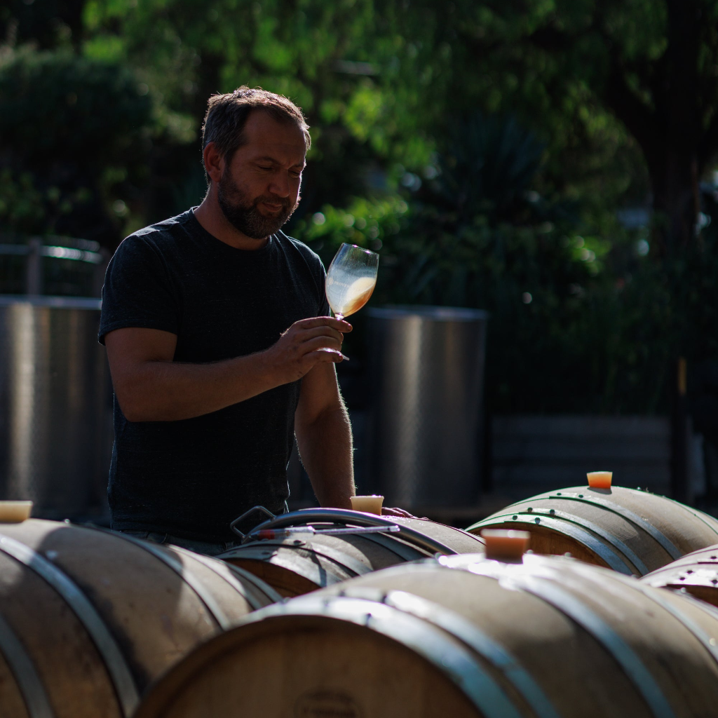 A winemaker swirling a glass of wine next to barrels.